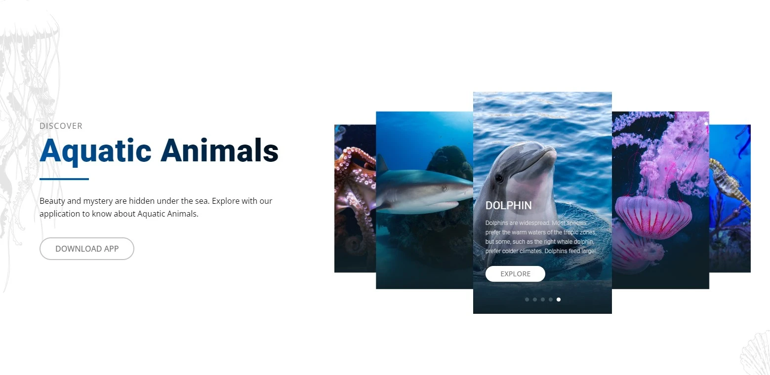 AquaLanding Page Snapshot